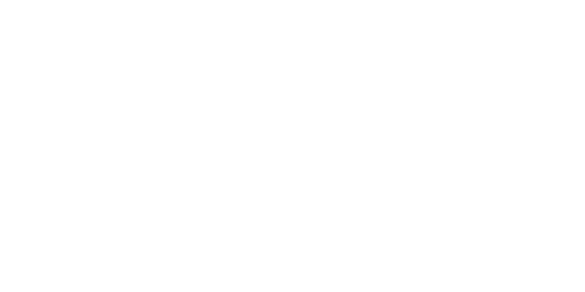 Pinlyf Connect Logo